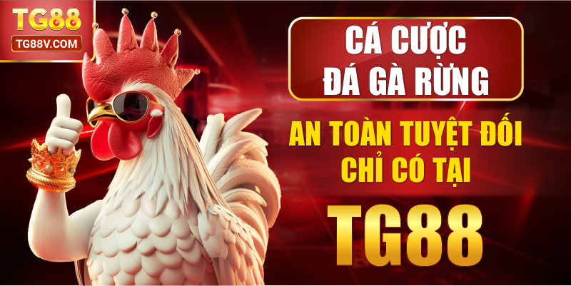 Cá Cược Đá Gà Rừng An Toàn Tuyệt Đối Chỉ Có Tại TG88
